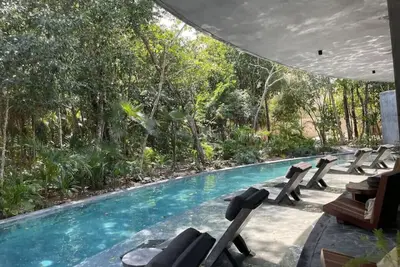 Image de Jungle experience ambienCE