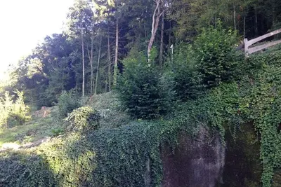 Image de Belle Moselle Résidence de vacances confortable