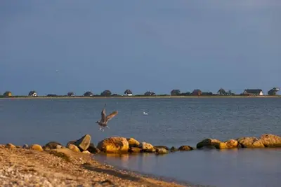 Image de La jument de luxe de Martina