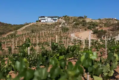 Image de Kasa Kefi, Luxurious Vineyard Oasis in Kasa Kava Valle d Guadalupe