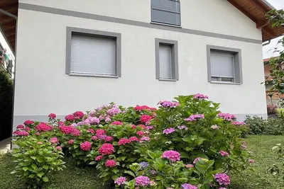 Image de Independent suite in villa for two - three people