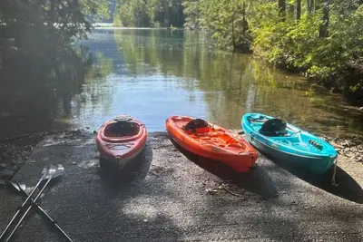 Image de Lake Cushman Family Getaway-5 min walk to Lake-King Bed-Pets Ok-Firepit-Kayaks!