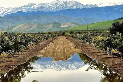Image de National Parks, Pool, Beloved Home Among the Orchards in Delightful Exeter