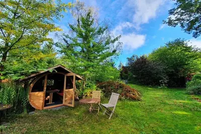 Image de Chouette hulotte - avec la chaire