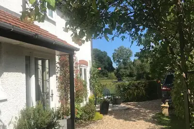 Beautiful New Forest cottage with direct forest access. Ponies at the gate!