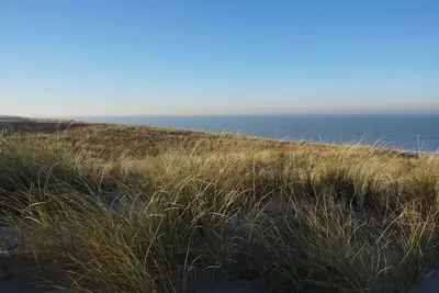 Image de Nice House With Large Garden, in Noordwijk and Near the sea