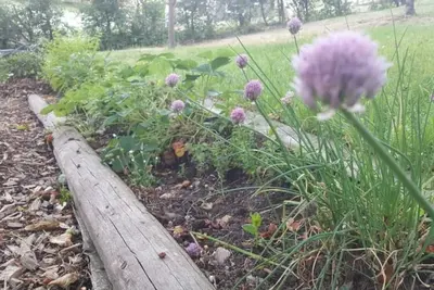 Image de Charming Holiday Home With Natural Garden in Kaltennordheim-thuringia