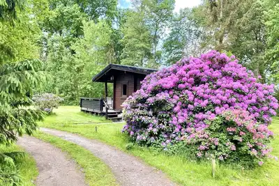 Image de Cozy Holiday Home on a Horse Farm in the Luneburg Heath