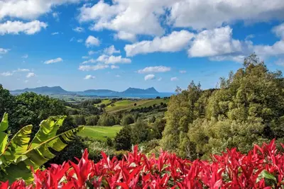Totara Ridge - A Private Escape with Ocean views\nWinter Weekly Specials