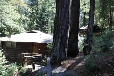 Image de \"Blue Heron\" Suite River Access In Redwoods WiFi