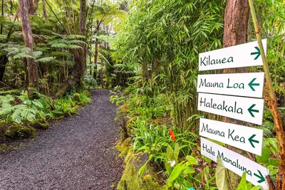 Image de Private Rainforest Retreat in Volcano Village