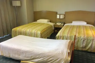 Image de Triple A nonsmoking room Room without meals plan / Hanno Saitama