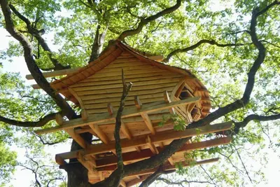 Image de Cabane Uthando