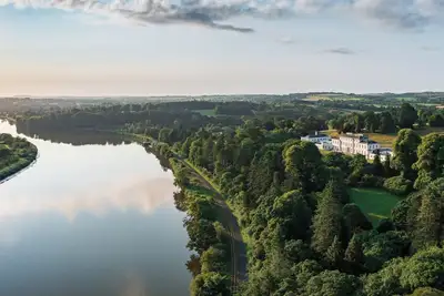 Image de The Forest at Mount Congreve Gardens