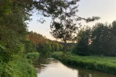 Image de Przytulny domek w lesie 7 min od rzeki