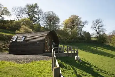 Image de Hot Tub-Pet Free-Cabine-Douche