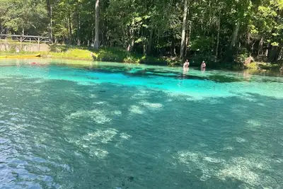Image de Cozy home near natural springs and Suwannee, Santa Fe, & Ichetucknee Rivers.