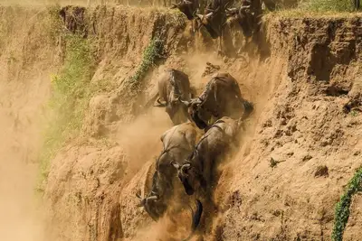 Image de Olakira Mara Homes