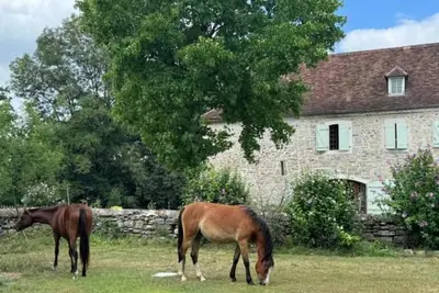 Image de Maison Hourquebie-Demeure de charme entièrement rénovée à 5 min de la rivière