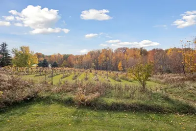 Image de Vineyard View near Winery in Country Side