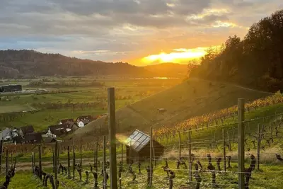 Image de Vacation apartment Winzerstube