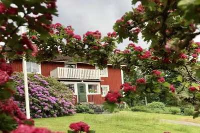 Image de Maison de vacances pour 6 a LÖNASHULT