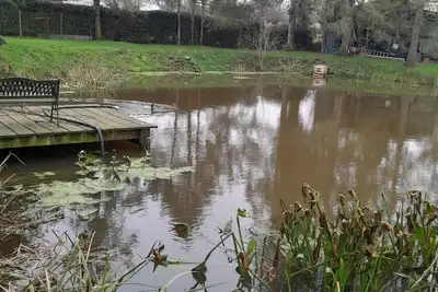 Image de Au petit bonheur de Séraphine