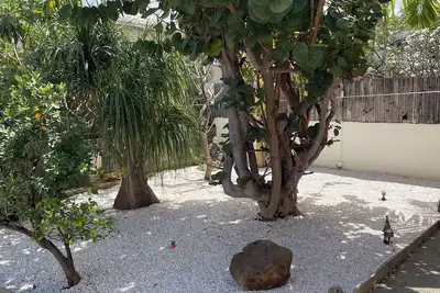 Image de Villa Amarine - Piscine & Lagon