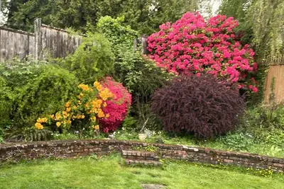 Image de Cozy 2 bedroom garden level suite 5 min walk to Dundrave beach and Village