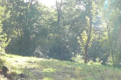 Image de Stone built 2 bedroom cottage overlooking a tarn in woodland near Cartmel
