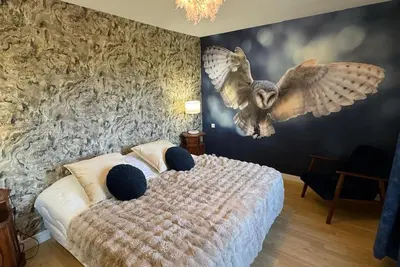 Image de Chouette et Hibou 30pers 2 Gîtes : jacuzzi billard