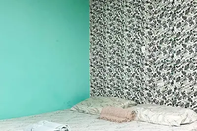 Image de Cozy House