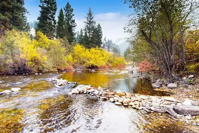 Image de Scenic retreat w\/two cabins, abundant wildlife, forest views, & fishing