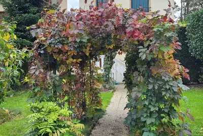 Image de Maison de ville comme à la campagne