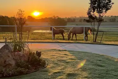 Image de Cozy studio with queen pullout sofa on scenic working ranch in Fort Worth.