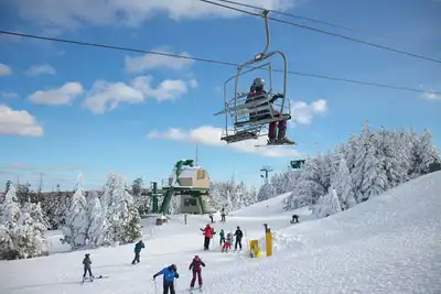Image de Mountain Lodge