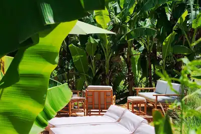 Little Diamond Jungle Home, Panoramic Ocean Views, 2 Verandas &Tropical Garden