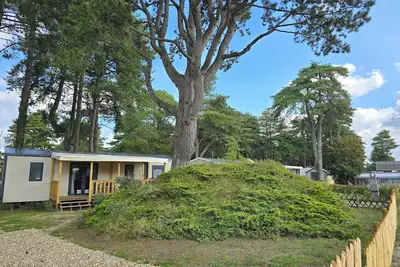 Image de Mobil home Rapidhome 2024 6 personnes 3 ch 2 sdb 2 wc avec terrasse au calme