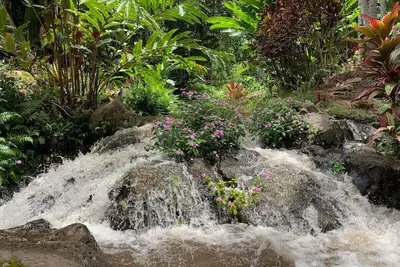 Image de Inspired 1-Br, Magic Gardens, Stream and Waterfall