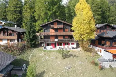 Image de Appartement de vacances Bellwald pour 1 - 5 personnes avec 2 chambres à coucher - Appartement de vac