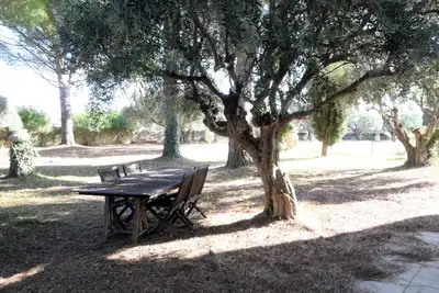 Image de Suite familiale dans villa au coeur d'un domaine viticole.