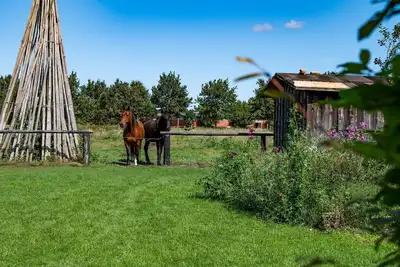 Image de Vacation home Ankerplatz