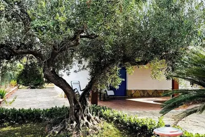 Image de A Stone'S Throw From The Sea