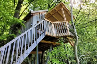 Image de Tree house Sollingblick, living\/bedroom - Baumhaushotel Solling