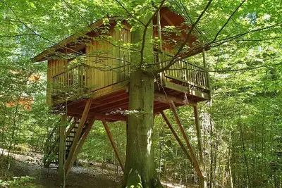 Image de Tree house refuge, living/sleeping room - Baumhaushotel Solling