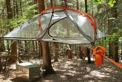 Image de Spruce tree tent - Baumhaushotel Solling