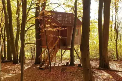 Image de Tree house Ahletal, living\/bedroom - Baumhaushotel Solling
