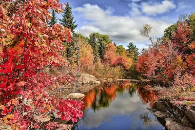 Image de Exclusive Forest Haven ~ Muskoka Luxury Estate