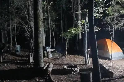 Image de A crackling campfire, a creek & deer outside your tent & we have a nature trail!