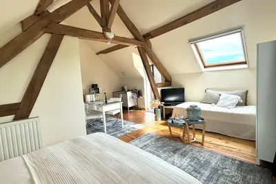 Image de Le Moulin d’Olivet - 10min du zoo de Beauval, au cœur des châteaux de la Loire